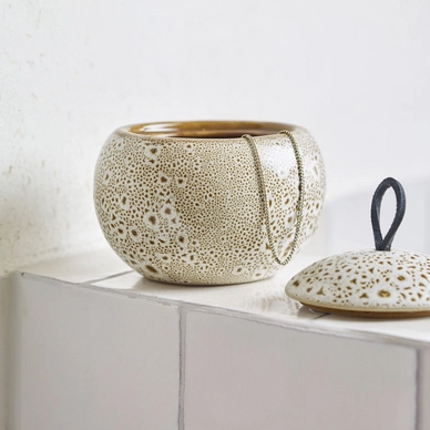 Beauty Box Aquanova Ugo Ginger Marron 4 Beauty Box Aquanova Ugo Ginger Marron – Image 2